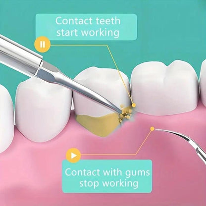 Plaque/Tartar Remover for Teeth, Dental Calculus Remover Teeth Cleaning Kit with LED Light & Adjustable Modes, for Women Men Humen Pet Cat Dog